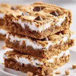 Peanut Butter S’mores Blondies