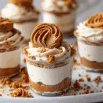 No-Bake Biscoff Cheesecake Cups
