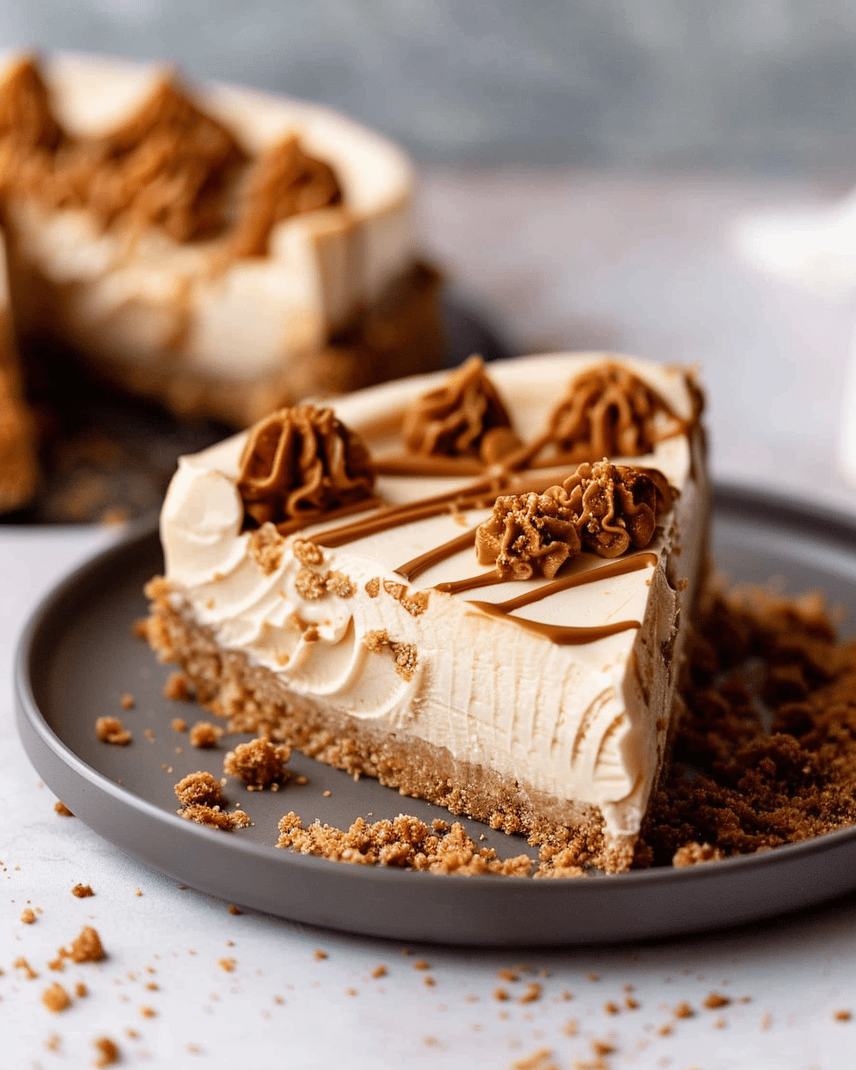 No Bake Biscoff Cheesecake