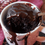 Microwave Chocolate Mug Cake
