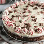 Festive Peppermint Chocolate Delight