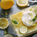 Gin and Tonic Pudding