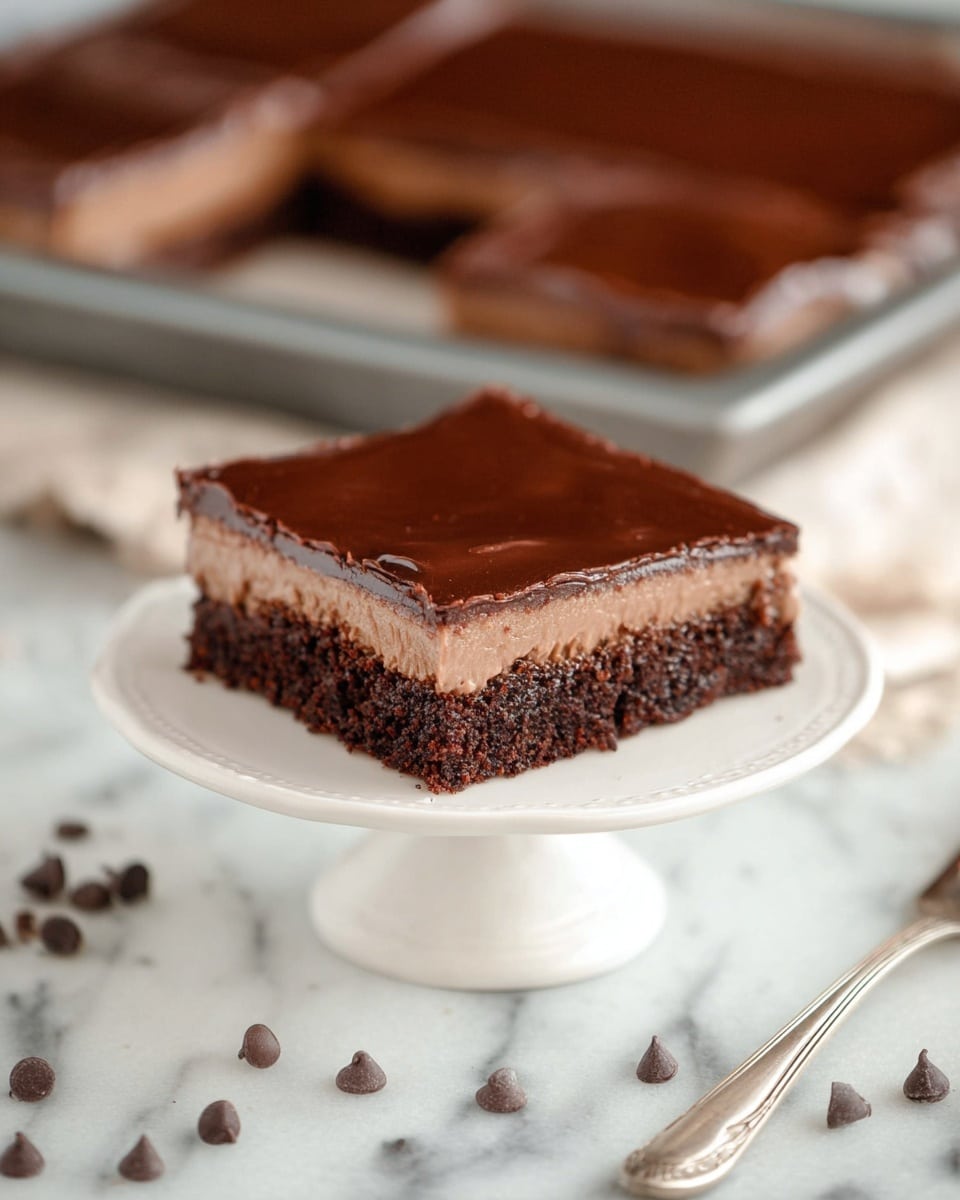 Chocolate and Peanut Butter Texas Sheet Cake