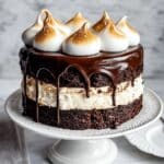 S’mores Cake