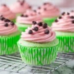 Watermelon Cupcakes