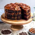 Turtle Cake